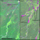 Evolution of the Cuberene River over time as successive logjams caused downstream flooding and converted forest to savannah. Image: Lombardo 2017